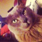 Earl Benge - @ketaskel - Instagram