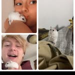 @earl.ham.berger - Instagram