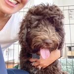 Earl - @earlbert.the.puppy - Instagram