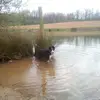 earldelabessarie - @earldelabessarie - TikTok
