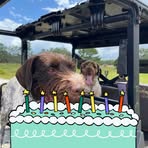 Earl Bettis - Facebook