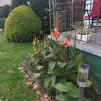 Earl Blake - Facebook