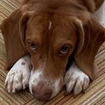 Earl Blanton - @earl_blanton22 - Instagram