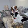 earlenebliss - @earlenebliss - TikTok