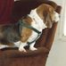 Earl Bond - Facebook