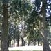 Earl Boyles City Park - Facebook