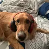 Brady_earle - @brady_earle - TikTok
