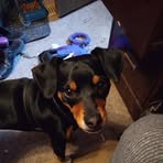 Earl Branson - Facebook