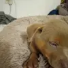 earlbrewley - @earlbrewley - TikTok