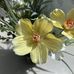 Keilie Broadbent Earl - Facebook