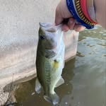 Bryson Early - @bryson_early - Instagram
