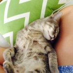 Earl Grey - @earlgreybuckley - Instagram