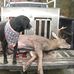 Earl Burtt - Facebook