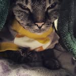 Earl - @earl_burnettrick - Instagram