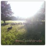 Earl Burnside - @adjurnikk - Instagram