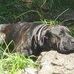 R L Earl Burnside - Facebook