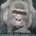 Earl Burris - Facebook