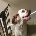 Earl burris - @earlburris8 - Instagram
