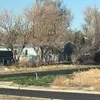 Earl Bush - @earl.bush - TikTok