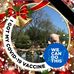 Earl Bush - Facebook