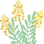 Bush Kids Child Care & Early Education - @bushkidswa - Instagram