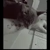 Pearl Buys - @pearl.buys - TikTok