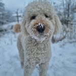 Earl Byrd - @earlbyrd96 - Instagram