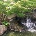 Earl Burns Japanese Gardens Cal State Long Beach - Facebook