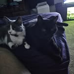 Earl Caldwell - @joystikjago216 - Instagram