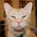 Earl Vincenzo Carmichael - Facebook