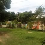 earl carnegie - @carnegie.earl - Instagram