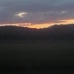 Earl Carney - @carney_earl - Instagram