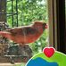 Earl Carpenter - Facebook