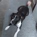 Earl Case - Facebook