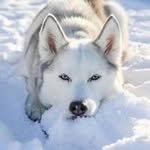 Earl Case - @earlcase76 - Instagram