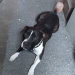 Earl Case - @caseearl5 - Instagram