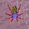 casey earl - @casey.earl - TikTok