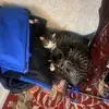 earlcasey616 - @earlcasey616 - TikTok