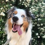 @casper.earl.grey - Instagram