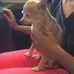 Earl Castello - Facebook