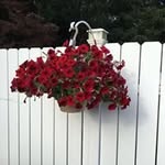 Earle Caswell - @earlecaswell - Instagram