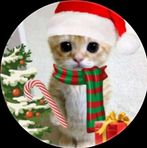 Earl Chan Largado - Facebook