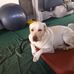 Earle Chang - Facebook