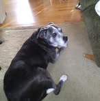 Earl Chappell - Facebook