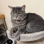 Earl of Cheeks - @earl_of_cheeks - Instagram