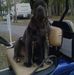 Earl Chestnutt - Facebook