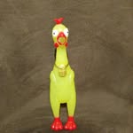 Earl the Chicken - @earl_thechicken - Instagram