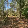 EarlChickProperty - @earlchickproperty - TikTok