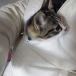 Earl Church - @earlchurch45 - Instagram