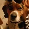 Earl Cumley411 - @earlcumley411 - TikTok